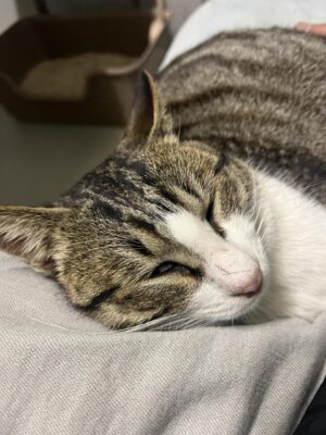 IMG_9290_2.jpeg